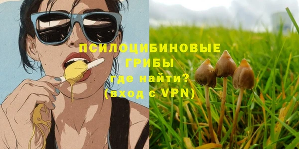 PSILOCYBIN Каменка